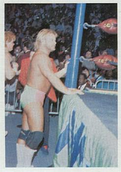 1988 Wonderama NWA #27 Stan Lane Front