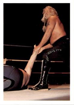 1988 Wonderama NWA #33 Jimmy Valiant Front