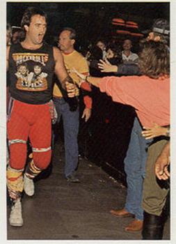 1988 Wonderama NWA #64 Robert Gibson Front