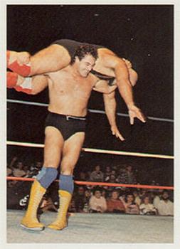 1988 Wonderama NWA #76 Mike Rotunda Front