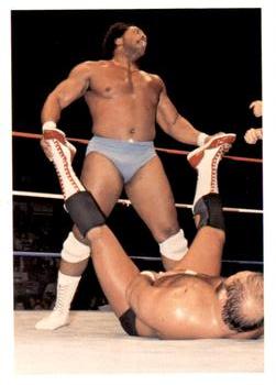 1988 Wonderama NWA #77 Ron Simmons / Arn Anderson Front