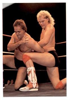1988 Wonderama NWA #81 Kendall Windham vs. Larry Zbyszko Front