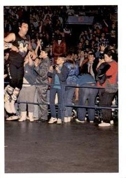 1988 Wonderama NWA #86 Robert Gibson Front