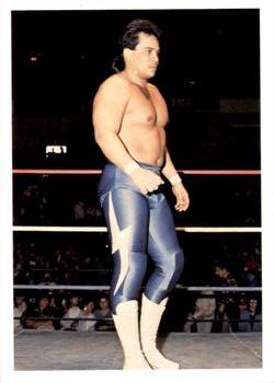1988 Wonderama NWA #87 Ricky Santana Front
