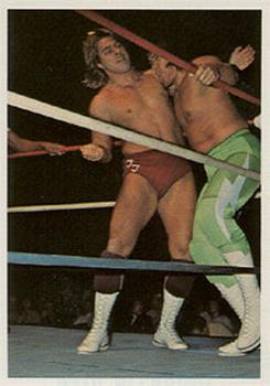 1988 Wonderama NWA #109 Terry Taylor Front