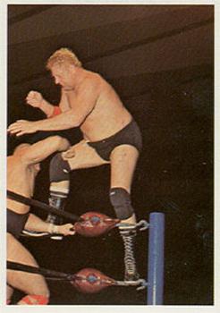 1988 Wonderama NWA #110 Dick Murdoch Front