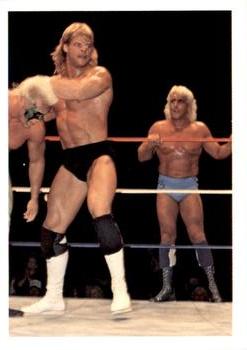 1988 Wonderama NWA #116 Lex Luger / Sting Front
