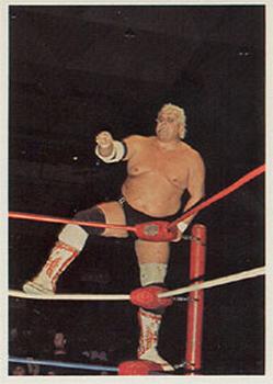 1988 Wonderama NWA #120 Dusty Rhodes Front