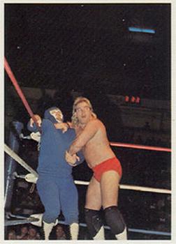 1988 Wonderama NWA #137 Tim Horner vs. Gladiator Front