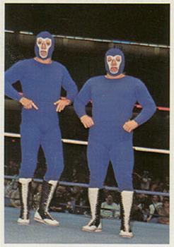 1988 Wonderama NWA #156 Gladiators 1 & 2 Front