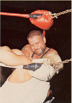 1988 Wonderama NWA #163 Luke Williams Front