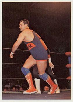 1988 Wonderama NWA #167 Mike Rotunda Front