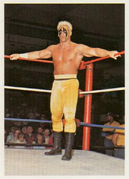 1988 Wonderama NWA #194 Sting Front
