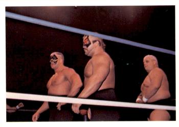 1988 Wonderama NWA #207 Road Warriors Front