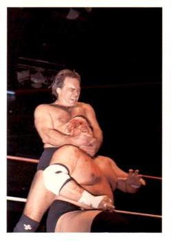 1988 Wonderama NWA #223 Larry Zbyszko / Dusty Rhodes Front
