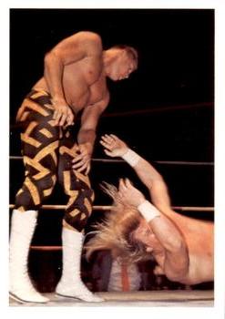 1988 Wonderama NWA #224 Sean Royal Front