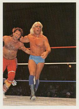 1988 Wonderama NWA #227 Ric Flair vs Robert Gibson Front