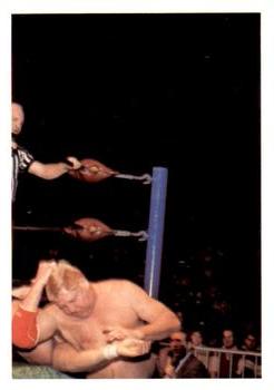 1988 Wonderama NWA #251 Dick Murdoch Front