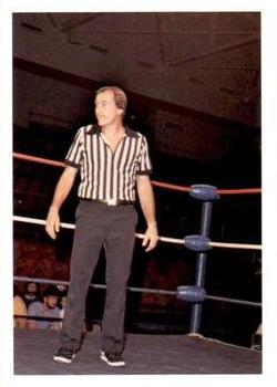 1988 Wonderama NWA #291 Tommy Young Front