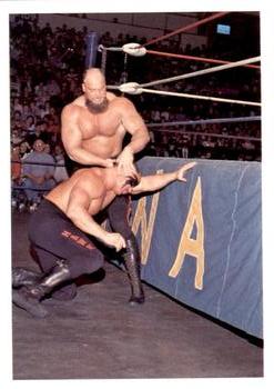 1988 Wonderama NWA #333 Warlord vs Road Warrior Front