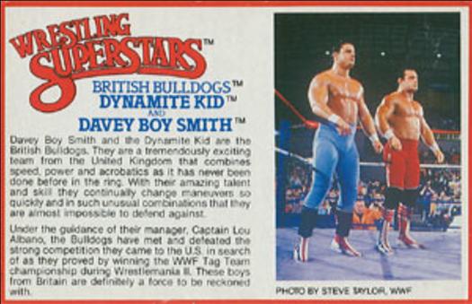 1984-88 LJN Wrestling Superstars Action Figure Cards #NNO British Bulldogs (Dynamite Kid / Davey Boy Smith) Front