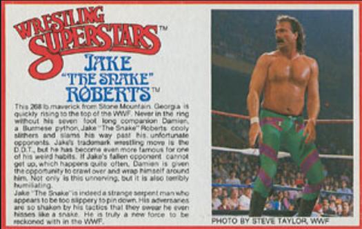 1984-88 LJN Wrestling Superstars Action Figure Cards #NNO Jake 