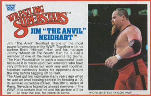 1984-88 LJN Wrestling Superstars Action Figure Cards #NNO Jim 