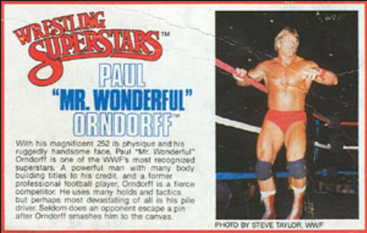 1984-88 LJN Wrestling Superstars Action Figure Cards #NNO Paul 