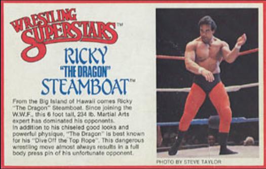 1984-88 LJN Wrestling Superstars Action Figure Cards #NNO Ricky 