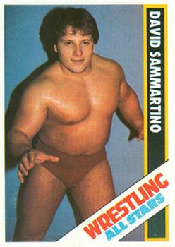 1985 Wrestling All Stars #53 David Sammartino Front