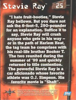 1999 Topps WCW Embossed #25 Stevie Ray Back