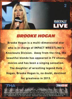 2013 TriStar TNA Impact Live #2 Brooke Hogan Back