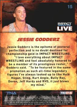 2013 TriStar TNA Impact Live #15 Jessie Godderz Back
