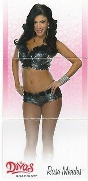 2013 Topps WWE - Divas Snapshot #NNO Rosa Mendes Front
