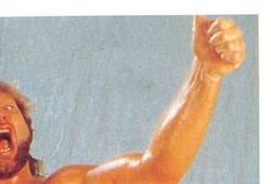 1991 WWF Superstars Stickers #32 Hacksaw Jim Duggan Front