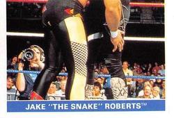 1991 WWF Superstars Stickers #136 Jake The Snake Roberts Front