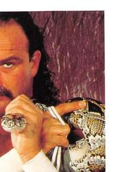 1991 WWF Superstars Stickers #139 Jake The Snake Roberts Front