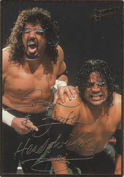 1994 Action Packed WWF #9 Head Shrinkers Front