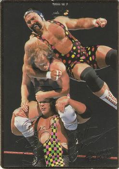 1994 Action Packed WWF #24 Steiner Brothers Front